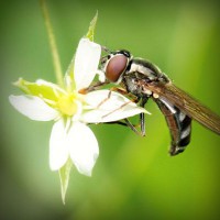 /album/jk-arco-bludov/photolia-a02-jpg/