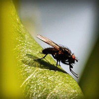 /album/jk-arco-bludov/photolia-a04-jpg/