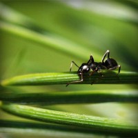 /album/jk-arco-bludov/photolia-a05-jpg/