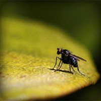 /album/jk-arco-bludov/photolia-a07-jpg/