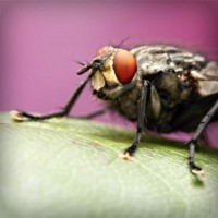 /album/jk-arco-bludov/photolia-a08-jpg/